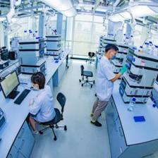 守正出新，正道致远——从技术开发看劲牌2019社会责任担当